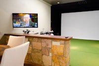 Projection Screen and TV